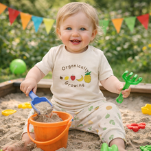 Load image into Gallery viewer, Organic Baby Tee 1-2 year - Fruits