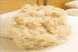 Kapok and Shredded Latex Filled Organic Cotton Pillows Zip Closure - Vegan