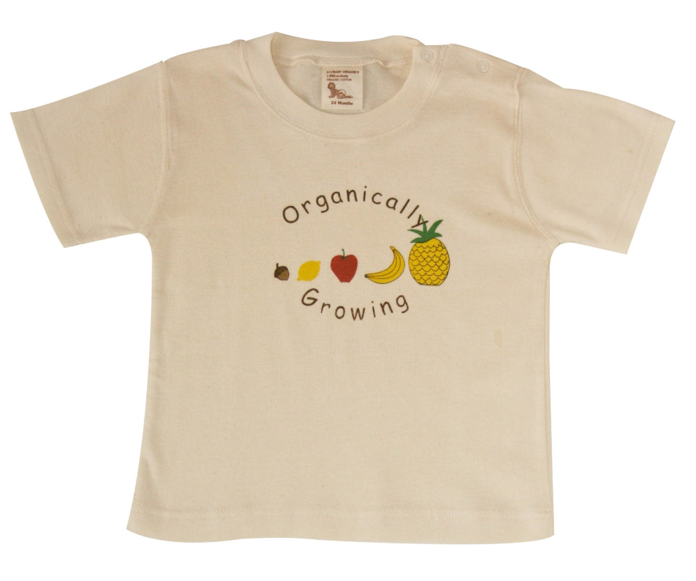 Organic Baby Tee 1-2 year - Fruits