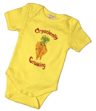 Load image into Gallery viewer, Organic Cotton Short Sleeved Onesie/Bodysuit