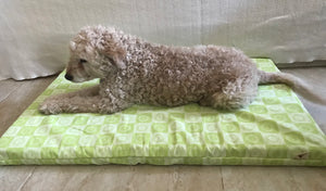 Organic Pet Bed