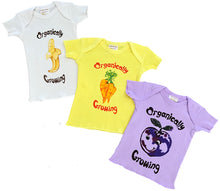 Load image into Gallery viewer, Organic Cotton Infant Tee Shirt Short Sleeve - 3 Pack
