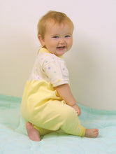 Load image into Gallery viewer, Organic Cotton Zip Crotch Jumpsuits Yellow and Mint 2 Pack
